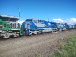 RUMO 2570